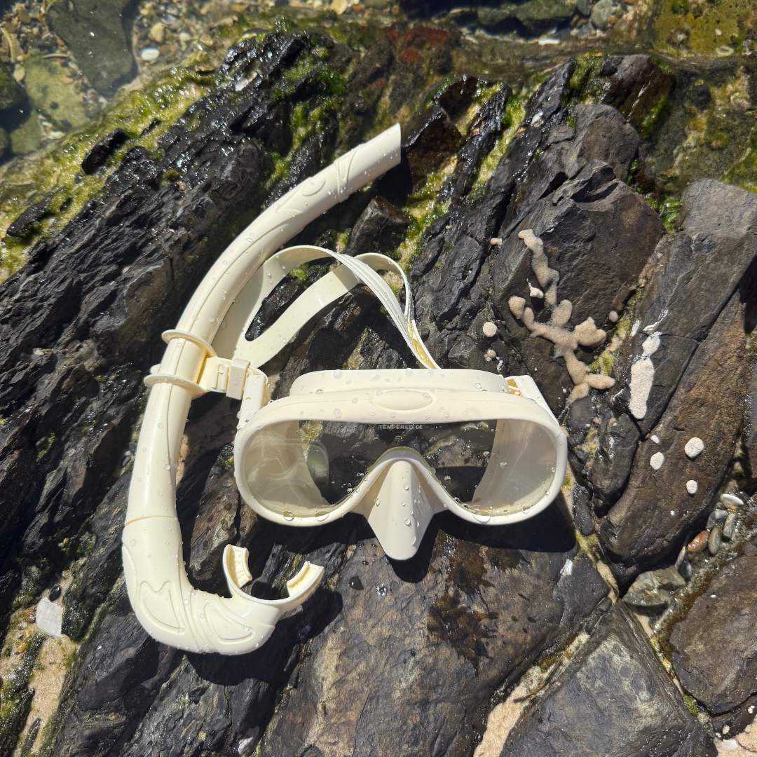 Sundae Snorkel Set