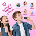Portable Bluetooth Mini Karaoke Microphone Singing Speaker